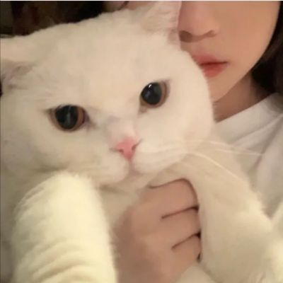 可爱对象不是人系列情头