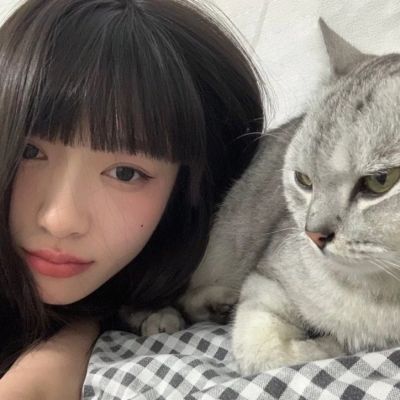 软萌可爱抱猫女生头像