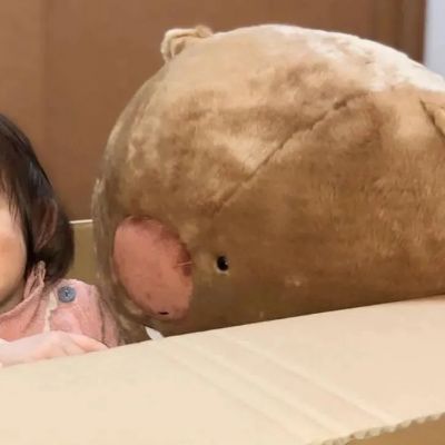 可爱搞怪对象不是人情头