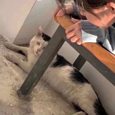 对象不是人的情侣头像