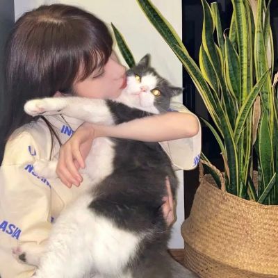 软萌可爱抱猫女生头像
