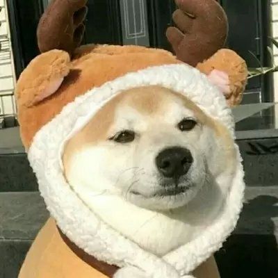 可爱搞怪动物头像