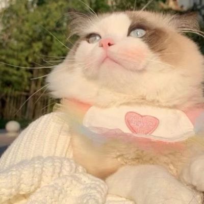 可爱对象不是人系列情头