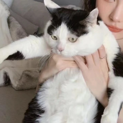 对象不是人的情侣头像