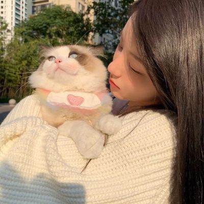 可爱对象不是人系列情头