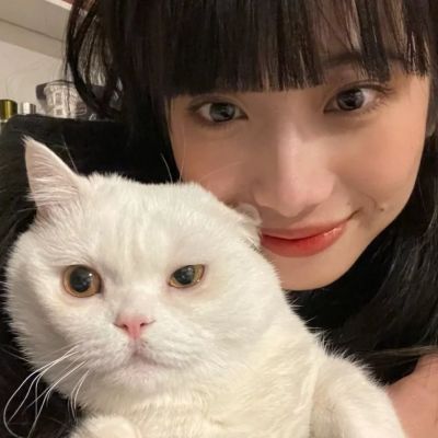 软萌可爱抱猫女生头像
