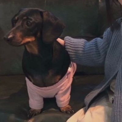 超萌对象不是人系列情侣头像