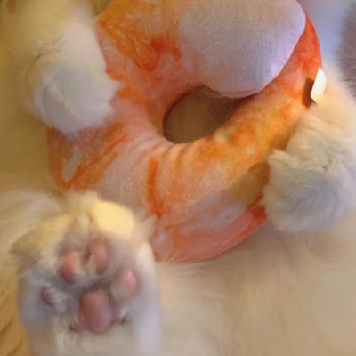 超萌小橘猫可爱头像