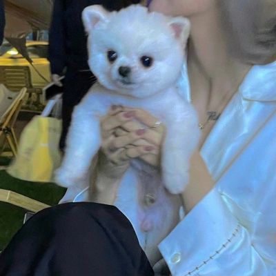 超萌对象不是人系列情侣头像