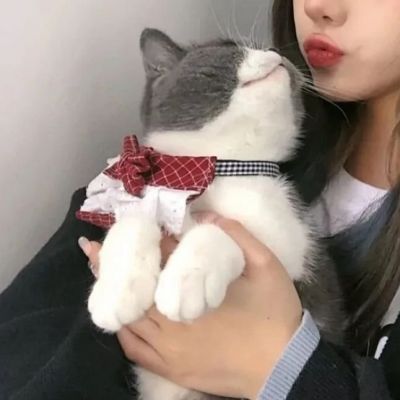 情侣头像对像不是人小众