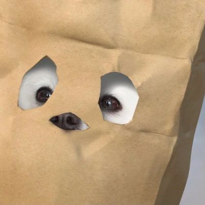 2026超火可爱搞怪情侣头像