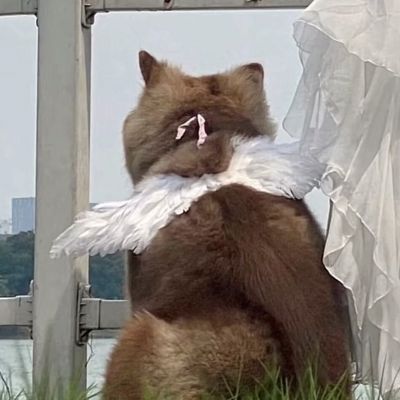 情侣头像对像不是人小众