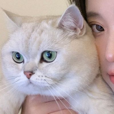 不想公开的高级感情侣头像