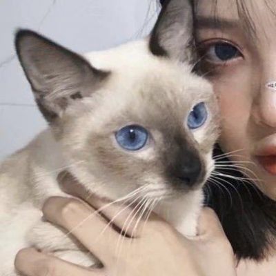 超萌对象不是人系列情侣头像