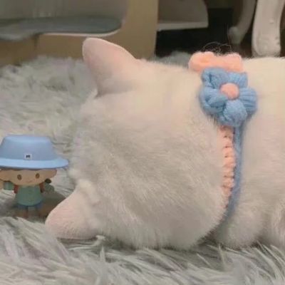 2026年单人情头精选