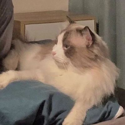 情侣头像对像不是人小众