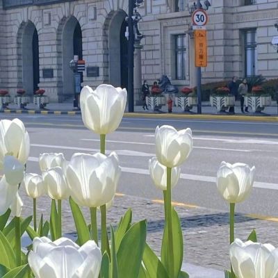 郁金香头像图片