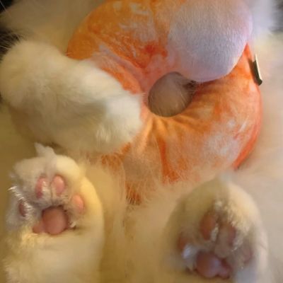 超萌小橘猫可爱头像