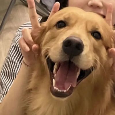 超萌对象不是人系列情侣头像