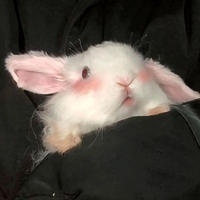 2026超火ins真人恩爱情头