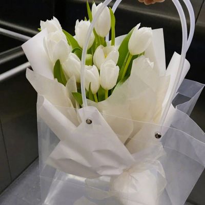 郁金香头像图片