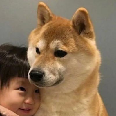 超萌对象不是人系列情侣头像