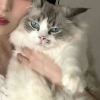 超萌对象不是人系列情侣头像