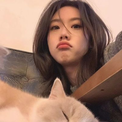 可爱对象不是人是宠物情侣头像图片