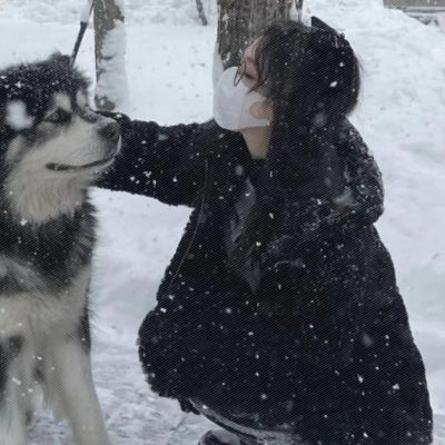 可爱对象不是人是宠物情侣头像图片
