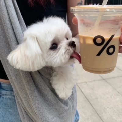  wechat风格情头图片