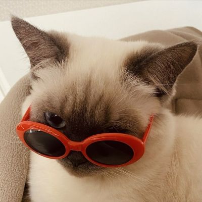 情侣头像搞怪对象不是人系列图片