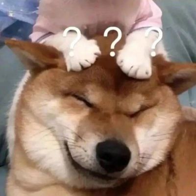 2025一对两张可爱萌宠情侣头像图片