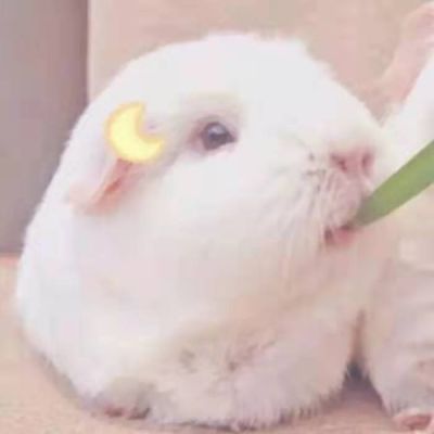二人闺蜜头像可爱呆萌沙雕类图片
