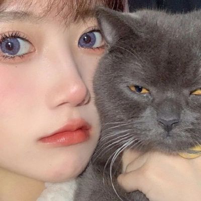 2025抱猫女生头像图片