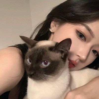 2025抱猫女生头像图片