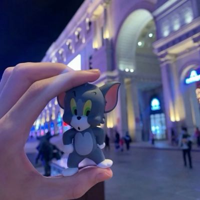 2025年的最火的情头图片