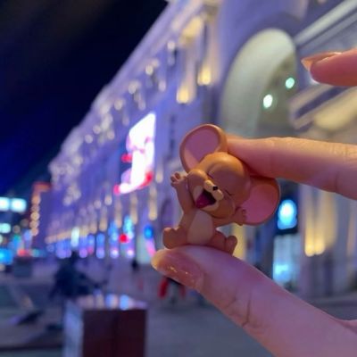 2025年的最火的情头图片