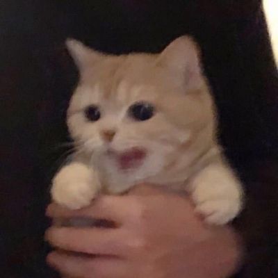 猛男专用沙雕头像