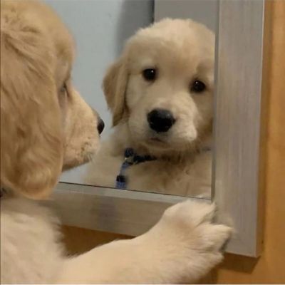 猛男专用沙雕头像