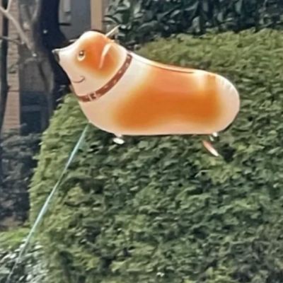 情侣头像好看一对两张恩爱甜蜜图片