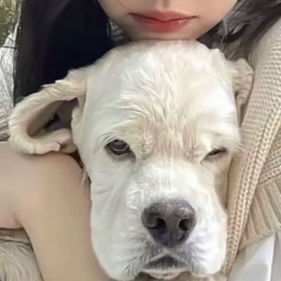 小红书热门情侣头像