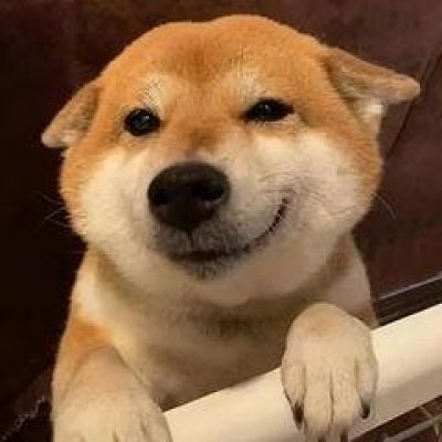 沙雕的狗头像