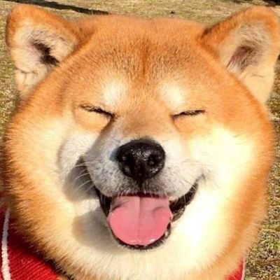 沙雕的狗头像