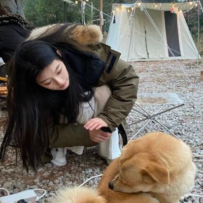 微信头像女生宠物系列