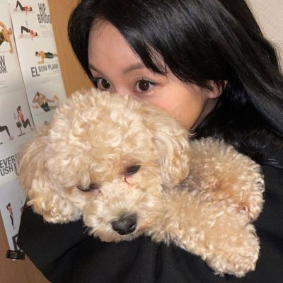 微信头像女生宠物系列