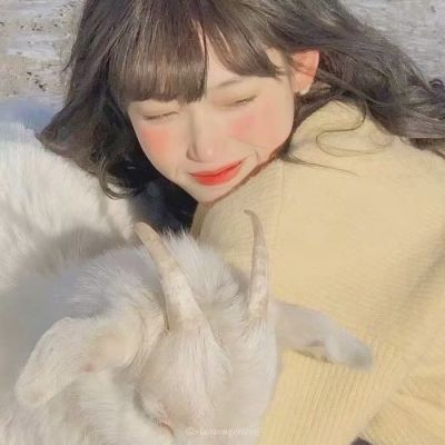 对象是动物的情头