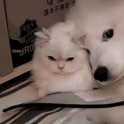 可爱情侣头像超萌搞怪一左一右图片