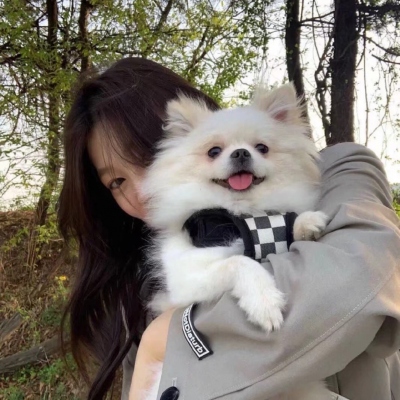 优质女头神仙女孩