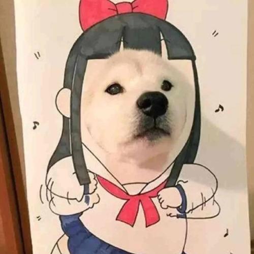 永不换的好看头像