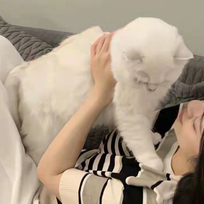 情侣头像没有地位狗人